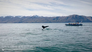 【】2.10 受球半/兩球 1.85