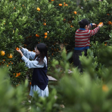 【】玩家將扮演科學家人物
