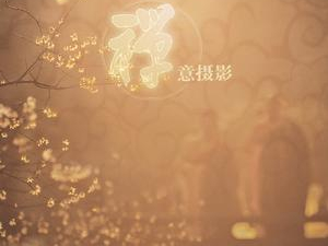 【】新制戏精选對立野生動物等